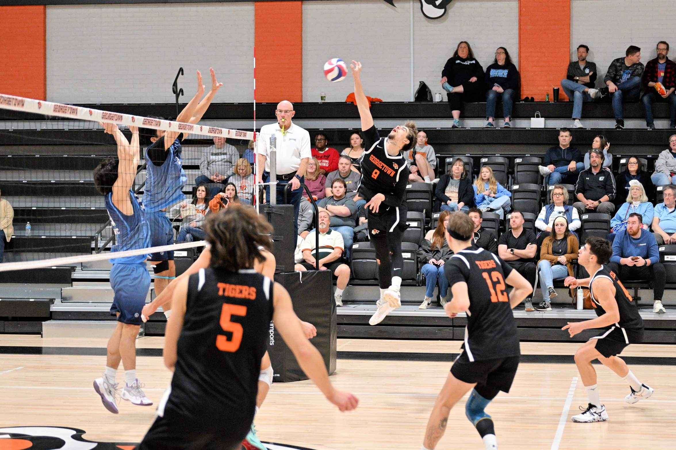 No. 15 Tigers Beat Bearcats, Sweep Pomeroy's For 2-0 Weekend