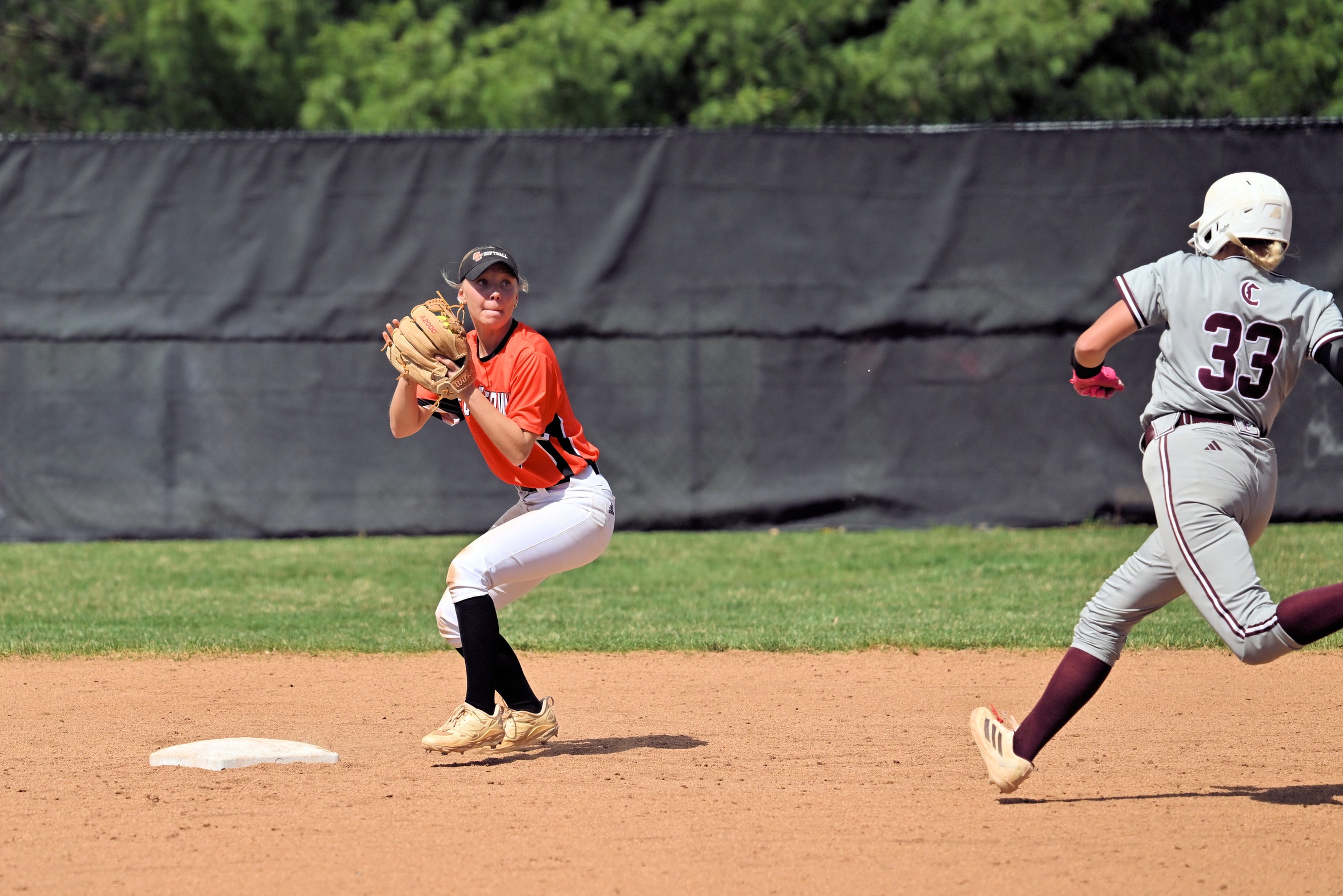 Tigers Sweep Past Thorobreds
