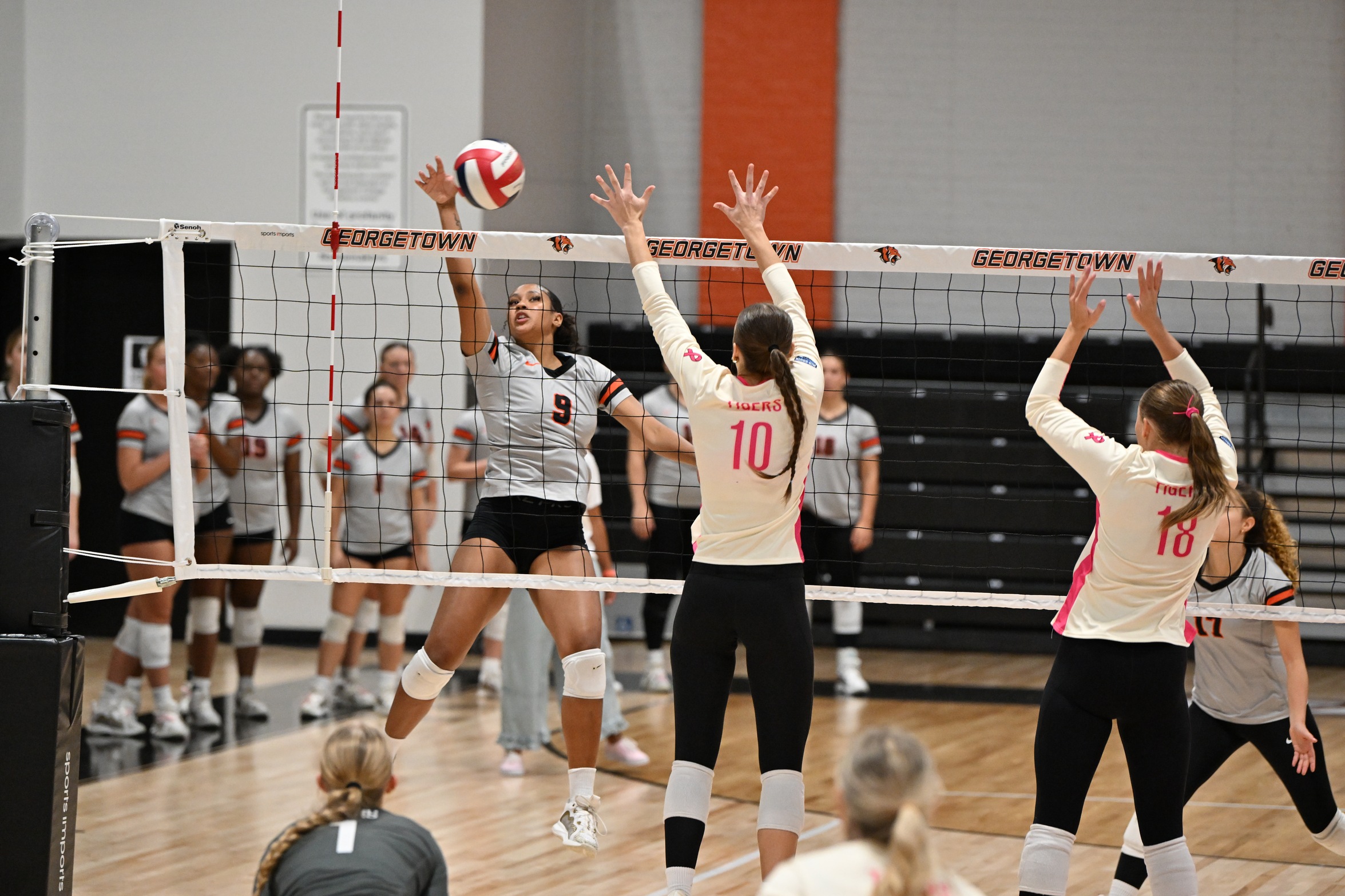 Campbellsville Takes Down Tigers