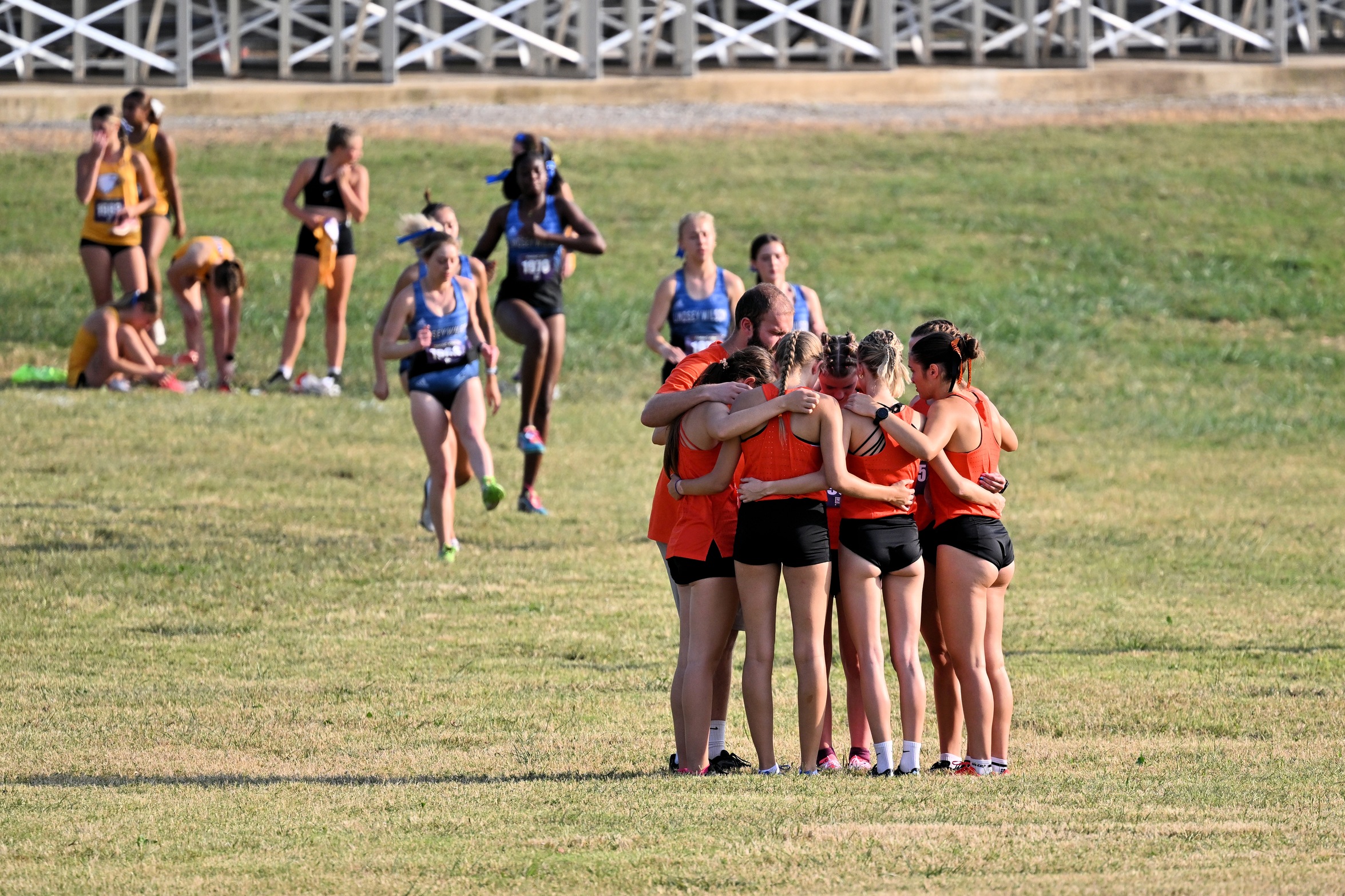 Tigers Get Five on MSC All-Academic Team